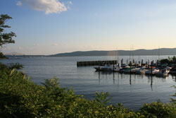 The Marina